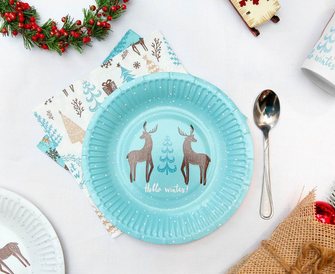 Paper plates Hello Winter, light blue, 18 cm/ 6 pcs. EOL
